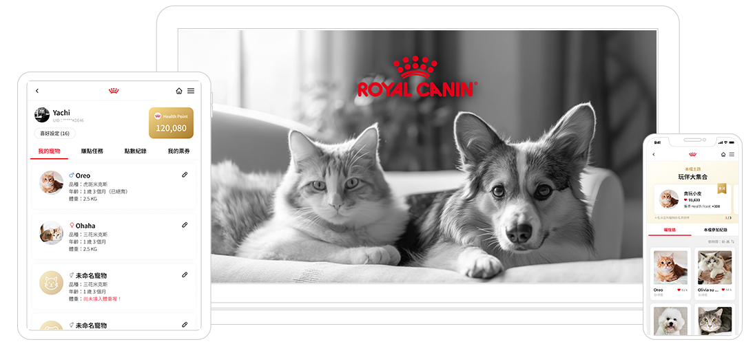 加入法國皇家RC集點，能累積積分兌換禮品，並在Line平台享受專屬寵物互動樂趣。開啟您與愛寵的美好生活之旅！ || SUGARFUN CREATIVE 方形糖創意數位