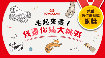 毛起來畫!我畫你猜大挑戰 || SUGARFUN CREATIVE 方形糖創意數位
