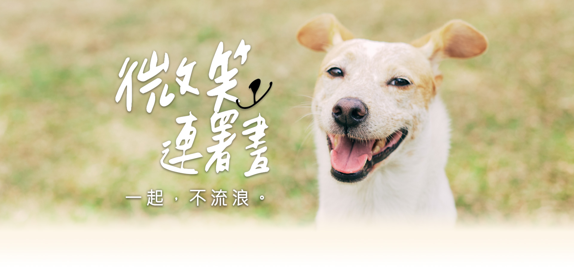 Richart 微笑連署書 || SUGARFUN CREATIVE 方形糖創意數位