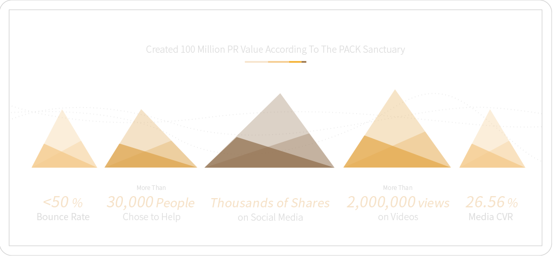 Richart 毛孩告急！救援浪浪 不再忽視 || SUGARFUN CREATIVE 方形糖創意數位
