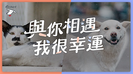 與你相遇 我很幸運 || SUGARFUN CREATIVE 方形糖創意數位