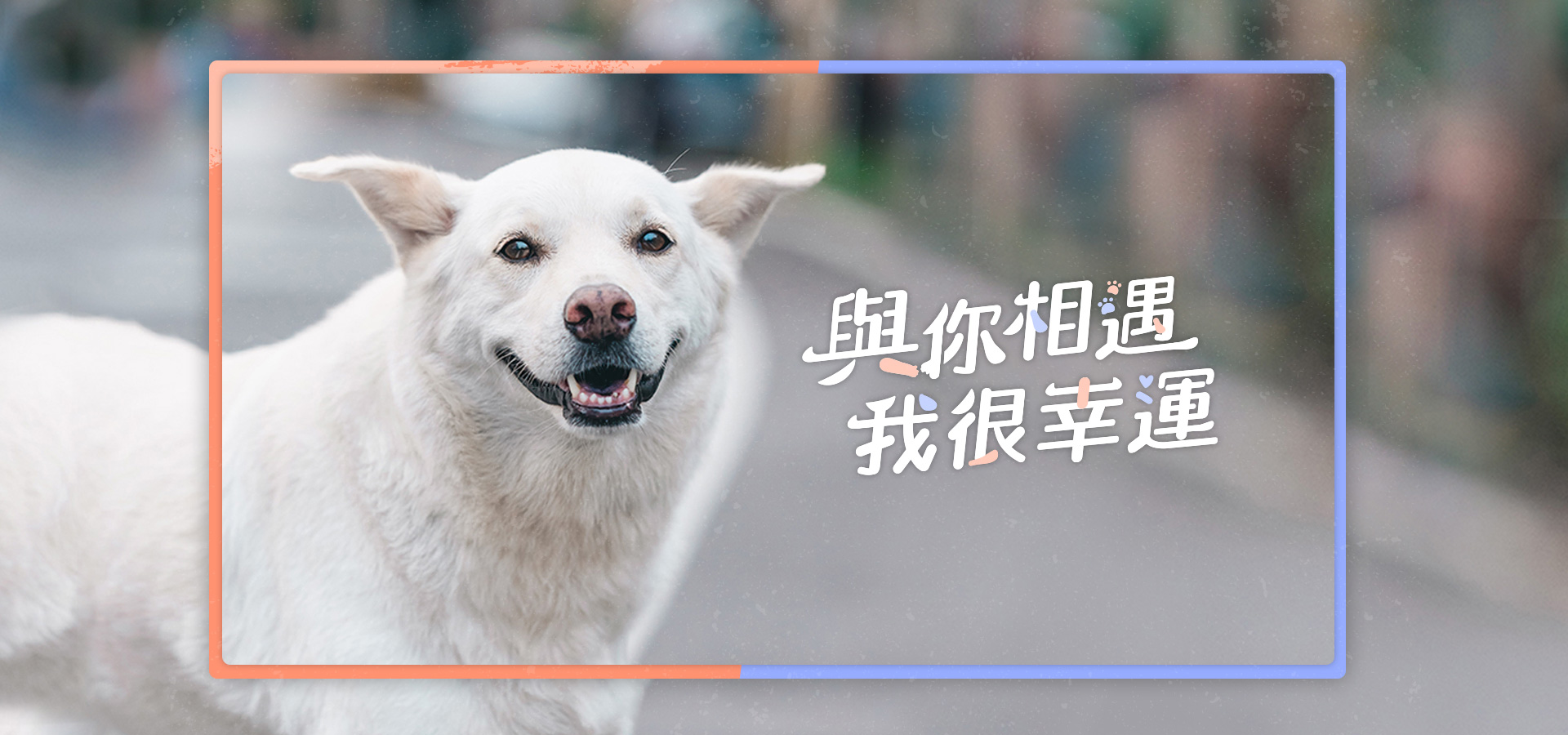 Richart 與你相遇 我很幸運 || SUGARFUN CREATIVE 方形糖創意數位