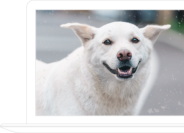 Richart 與你相遇 我很幸運 || SUGARFUN CREATIVE 方形糖創意數位